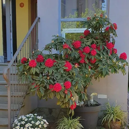 Il Giardino In 3* La Spezia