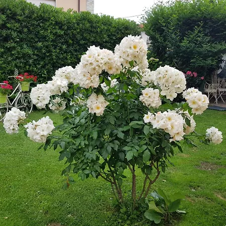 Frühstückspension Il Giardino In Citta La Spezia