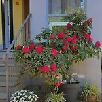 Il Giardino In Citta 3* La Spezia
