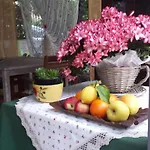 Il Giardino In Citta Bed and Breakfast
