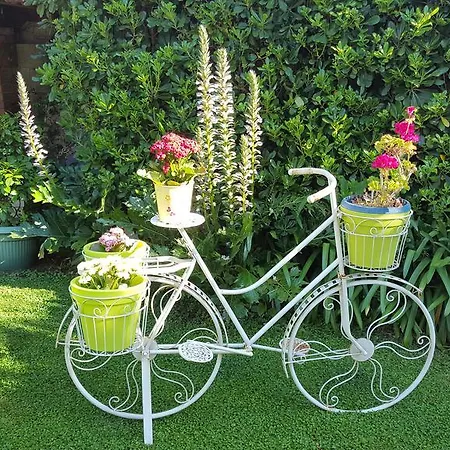 Il Giardino In Citta לינה וארוחת בוקר 2*