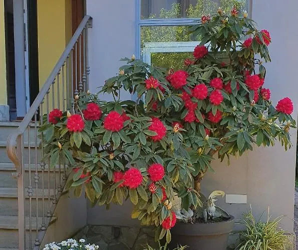 Il Giardino In Citta 3* لا سبيتسْيا