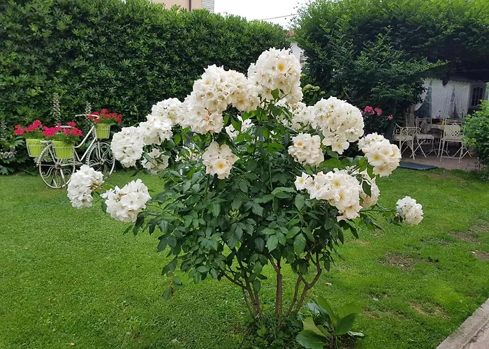 فندق مبيت وإفطار Il Giardino In Citta لا سبيتسْيا